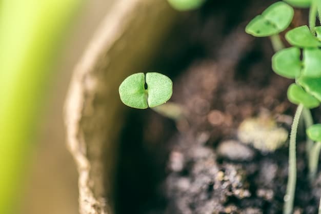 Investing 101: Harnessing Compounding Interest for Maximum Returns